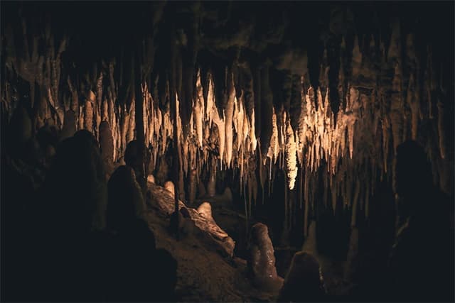 洞窟冒険